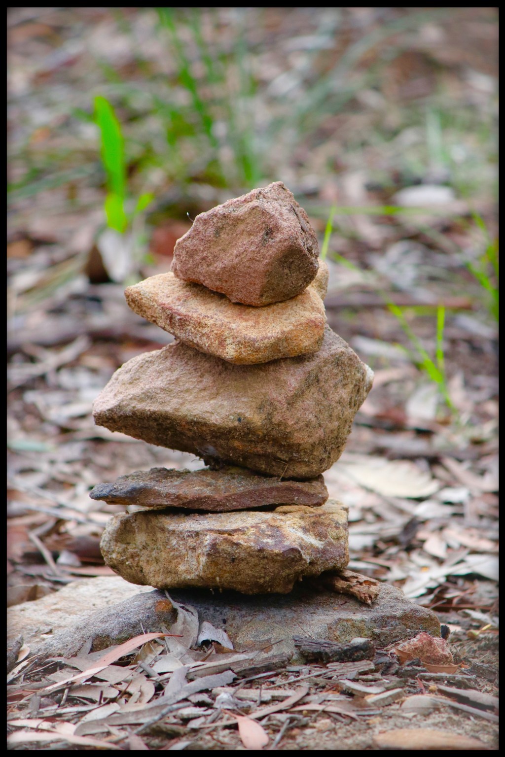 Innovation, inclusion, cohesion and&nbsp;equality