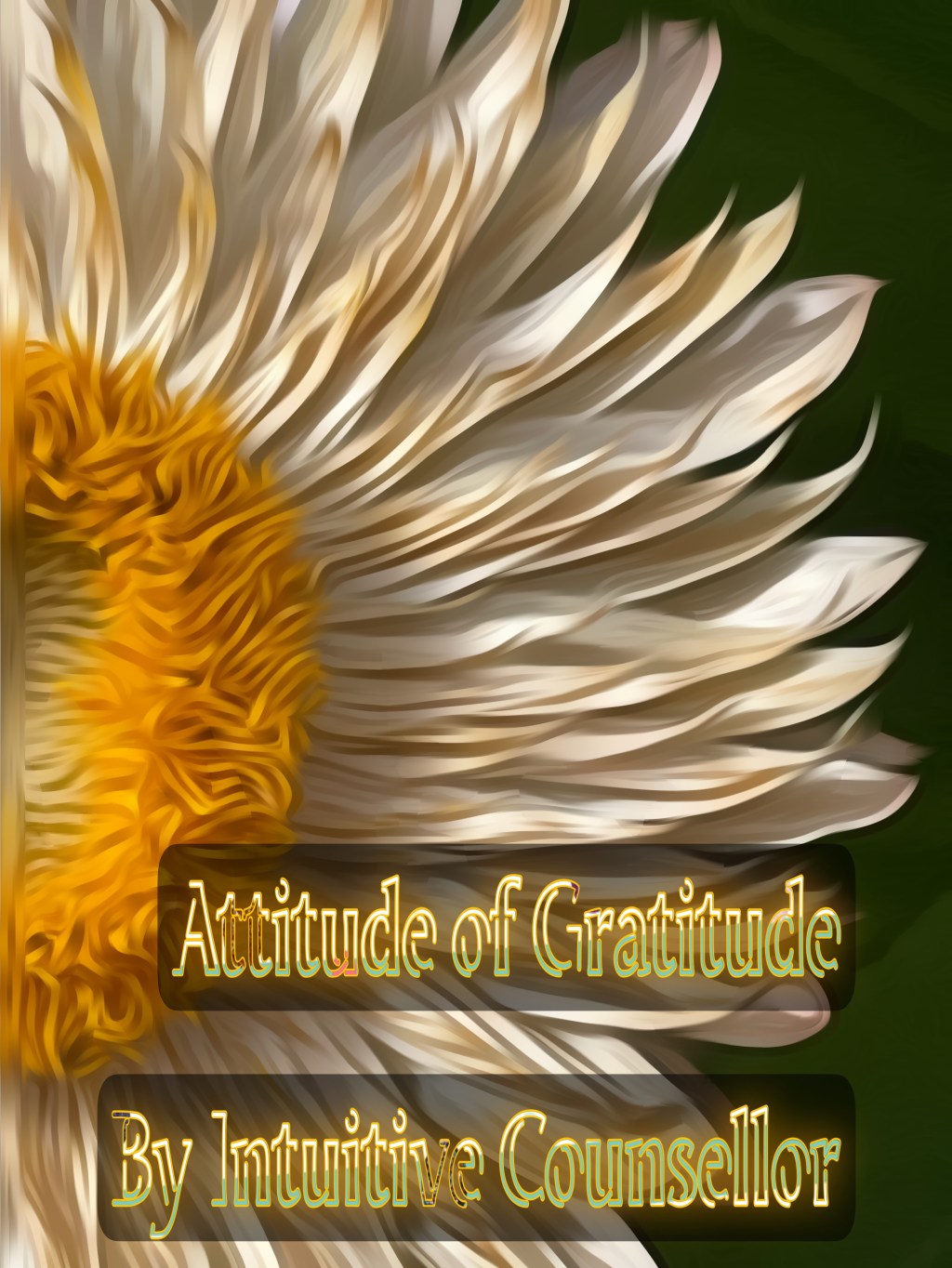 An Attitude of&nbsp;Gratitude.